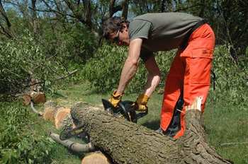 worst job - lumberjack