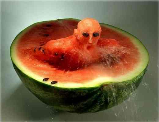 watermelon