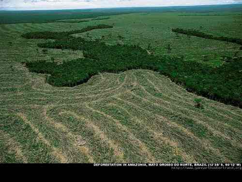 Deforestation in Amazonia, Mato Orosso do Norte, Brazil