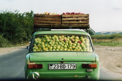 lots of apples in car