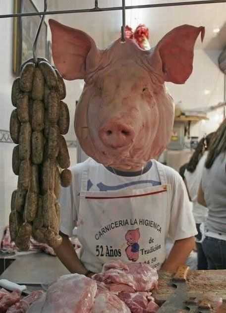 butcher pig man