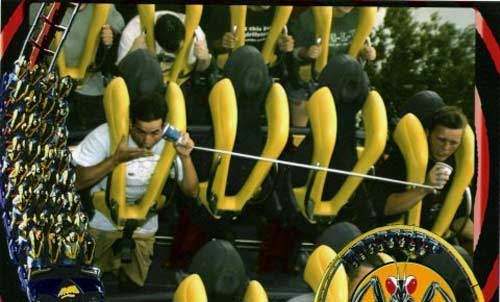 crazy funny roller coaster photo