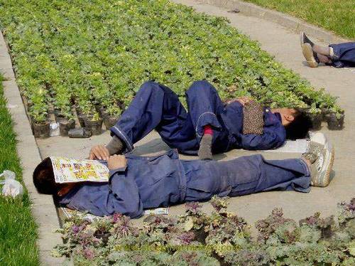 chinese sleep anywhere