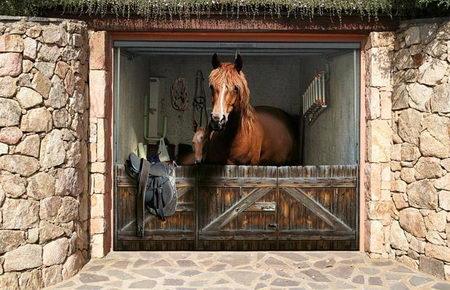 cool garage door poster