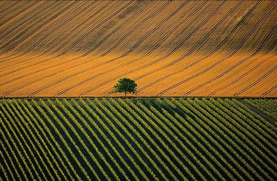 amazing aerial photo