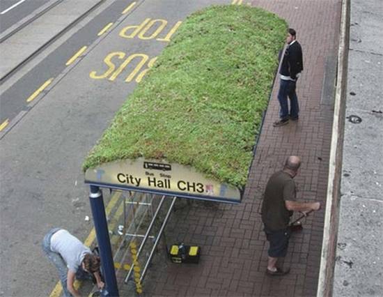 creative bus stop grass