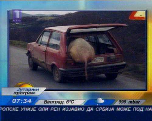 random pictures that are funny random pictures that are funny