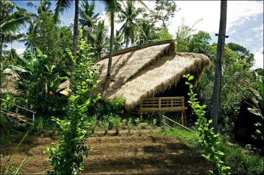green schoool bali