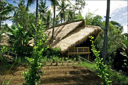 green schoool bali