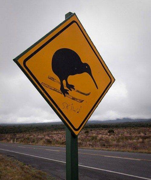 funny street sign