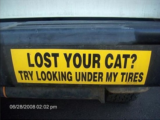 Funny_Bumper_Sticker_2