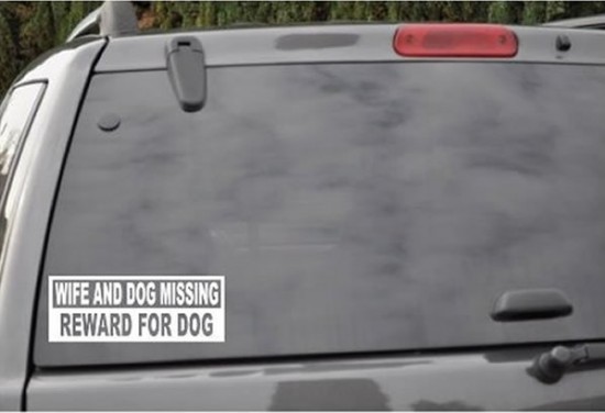 Funny_Bumper_Sticker_7